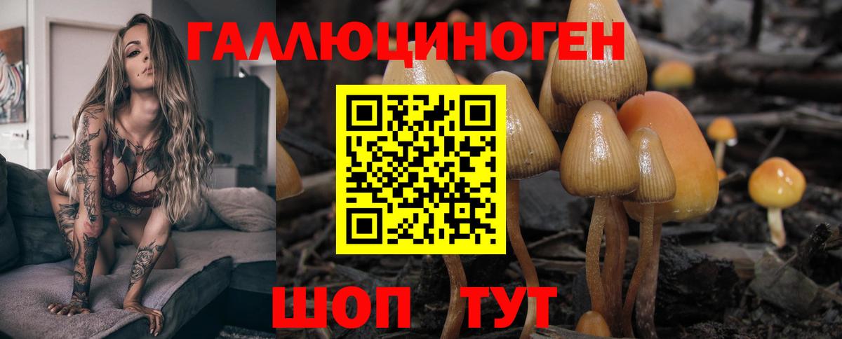 Ступино  Галлюциногенные грибы MAGIC MUSHROOMS  продажа наркотиков  Вход с VPN 